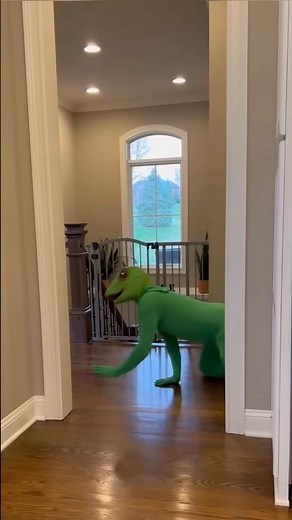 FROG ATTACKS TODDLER (Toddler Gets Even!)