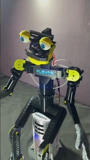 Homemade Animatronic Built in My Dorm Room
