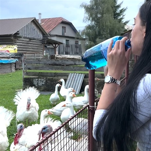 I didn't know you spoke turkey? 🦃 | The Pet Collective