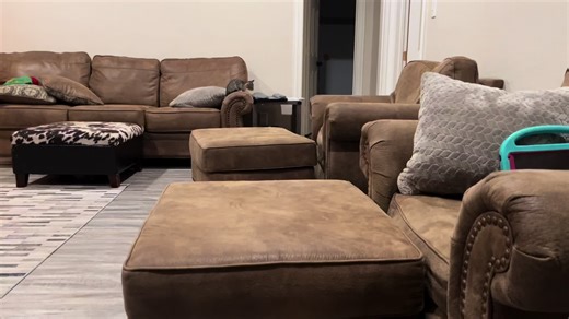 Kitten Ambush! #cattok #kitten #fyp #barncat