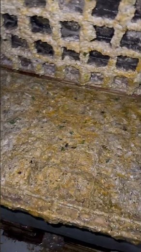 GREASE-CLOGGED DRAIN!😱 Trap à graisse complètement bouchée (satisfying clean)#plumbing #plumber #diy
