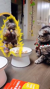 Funny moments 😂😂😂#FunnyMoments #Humor #LOL #Hilarious #FunnyVideos #Jokes #Comedy #Laughs #SmileMore #CrazyFunny #ROFL #LaughOutLoud #FunnyAnimals #JokeOfTheDay #Silly | TV -