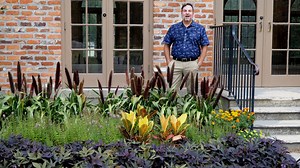 The summer heat has taken its toll on most summer plants, leaving landscapes looking worn out. On this edition of Get It Growing, LSU AgCenter horticulturist Jason Stagg explains how you can refresh your landscape with plants that offer pronounced fall color. | LSU AgCenter