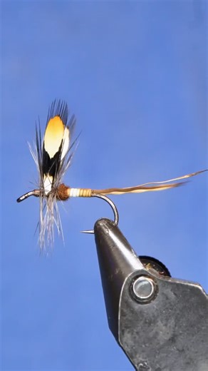 Brian Smith on Instagram: "Jc Mayfly! Inspired by @williamensiferum Hook: Ahrex FW501 size 14 Thread: TheFlySmith 12/0 traditional waxed brown olive Tail: rusa deer from theflyhairco Body: Peccary (link in bio) Wing: Jungle cock Hackle: Sideling hill Tools: TheFlySmith #TheFlySmith #flytying #fly #flytyingjunkie #flytyingtutorial #flytyingaddict #satisfying #flytyingnation #fyp #fishing #flyfishing #pescamosca"