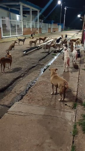 #virals | Jose Martinez la Paz