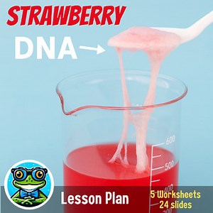 STRAWBERRY DNA EXPERIMENT | Food Genetics Lab |  Chromosome Structure Activity