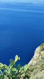 PALMI, ADESSO... | PALMI