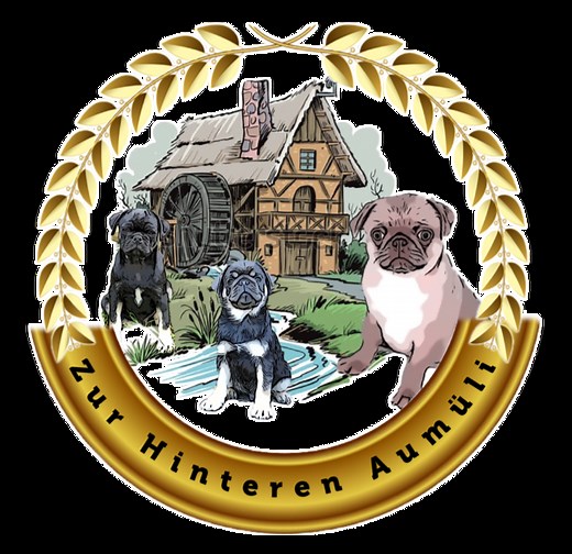 Der altdeutsche Mops | Schweizer Altdeutsche Mopszucht | Altdeutsche Mopszucht zur hinteren Aumüli