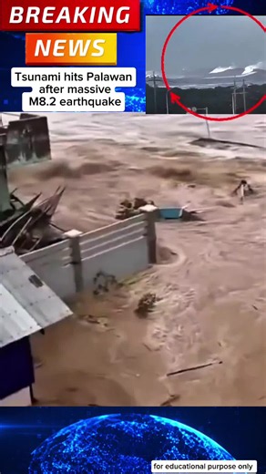 BREAKING: First footage of a powerful tsunami surge hitting the coast of Palawan, Philippines, following the massive M8.2 earthquake. 🌊 The ocean is pushing inland with incredible force. Please follow all local evacuation orders and move to higher ground immediately! Stay safe, Philippines. 🙏🇵🇭 Educational/Policy Note: This video is for news reporting and disaster awareness purposes. For official tsunami height updates and evacuation maps, please follow PHIVOLCS and the NDRRMC. Hashtags: #Br