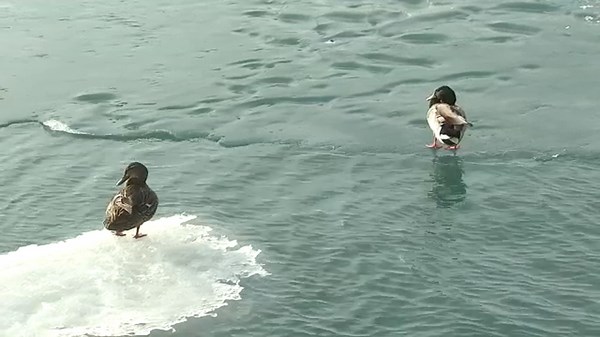 Chicago enjoys 'fake Spring' with temperatures breaking century-old weather record