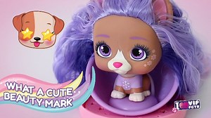 Watch VIP Pets - How to Unbox on Amazon Live