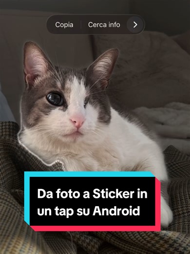Con l’ultimo aggiornamento di Google Foto, le immagini salvate su Android si trasformano in adesivi. #Google #Android #GoogleFoto #foto #app