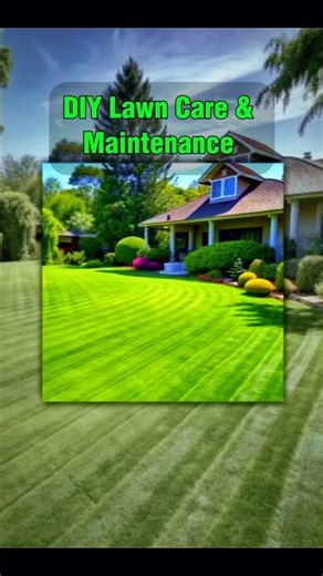DIY Lawn Care Secrets 🌱 Transform Your Yard FAST! #lawncare #shorts