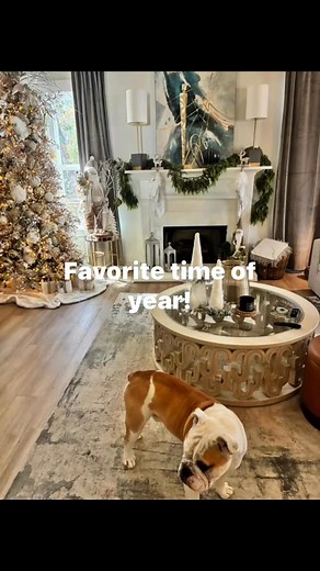 Wendy Nelson on Reels