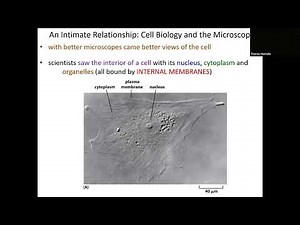 Lecture 1 Intro to Cells Chapter 1