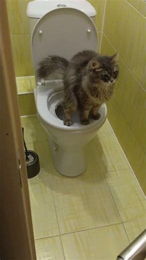 17 декабря 2025 г.