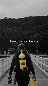 It's not just a university, it's a childhood dream. | UTS: University of Technology Sydney | Facebook