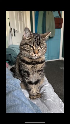 Can I get a 600 subscribers or even more?