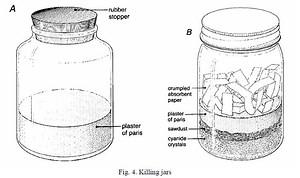 Killing jar - Alchetron, The Free Social Encyclopedia