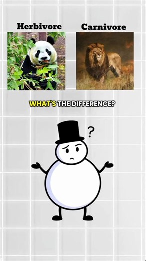 what's the difference between Herbivore and carnivore? #educational #usashorts #usa