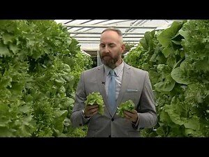 The future of farming - Vertical, hydroponic crops