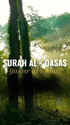 Surah Al-Qasas 🤍 | Yasser Al-Dosari Beautiful Quran Recitation