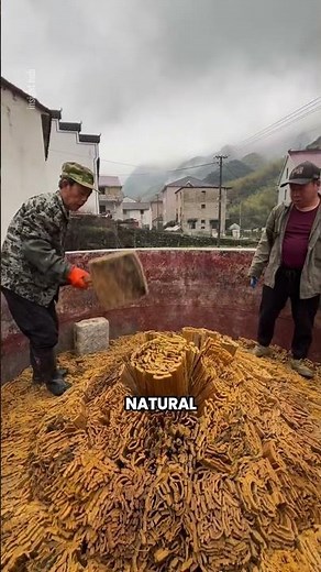 How Bamboo Is Turned Into Paper 🌿