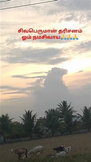 சிவபெருமான் தரிசனம் ஓம் நமசிவாய🙏🙏🙏