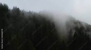 Dark grey forest in moody fog covering the mountain and hills dripping into valley, PNW