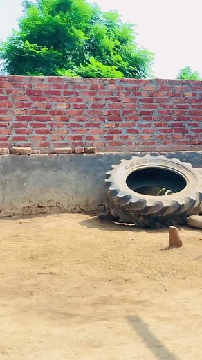 ❤️❤️ | Lovepreet Singh Johlan