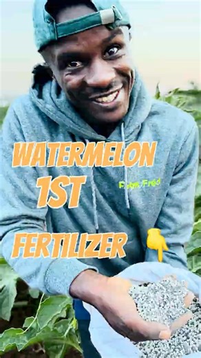 220K views · 4.2K reactions | The first fertilizer to apply in your watermelons | Farm With Fred | Facebook