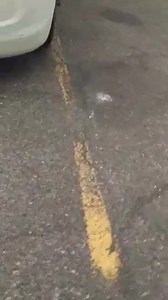 Twisted Truckers on Reels