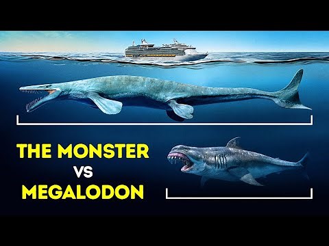 This Sea Reptile Is the Biggest the World Has Ever Seen