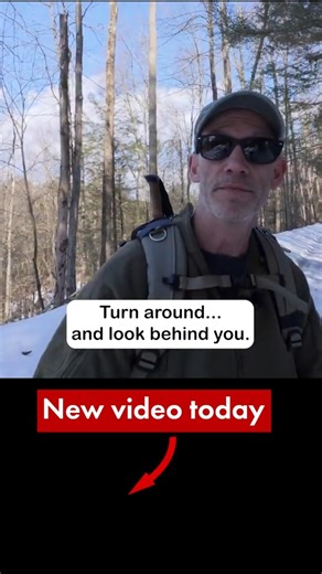 Do THIS to find hidden compositions in the Landscape