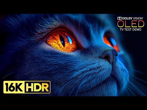 Most Stunning 16K Video ULTRA HD | 16K HDR 120fps Dolby Vision (8K/4K Video TV)
