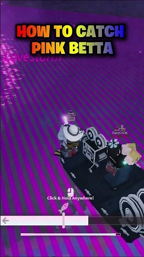 How To Catch Pink Betta In FISCH #fisch #roblox