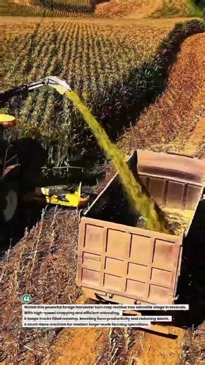 Mega Forage Harvester Loading Fast 🚜🌽 #AgriTech #FarmMachines #HarvestPower