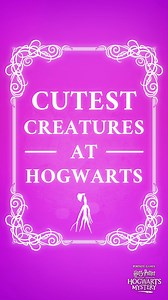 9.3K views · 446 reactions | Too. Cute. To. Handle.  | Harry Potter: Hogwarts Mystery | Facebook