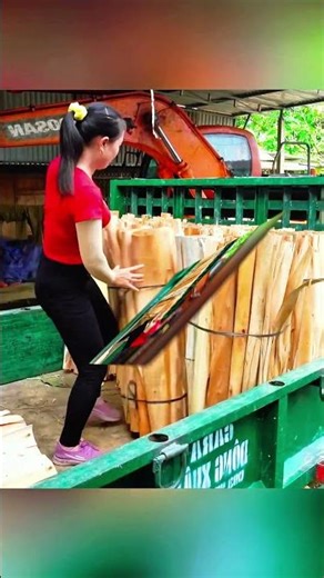 Buying 1000+ Giant Logs from Mountain Villagers | Trucks Haul Tons of Wood
