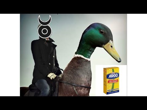 Story of my conception ft. silicone renewal 