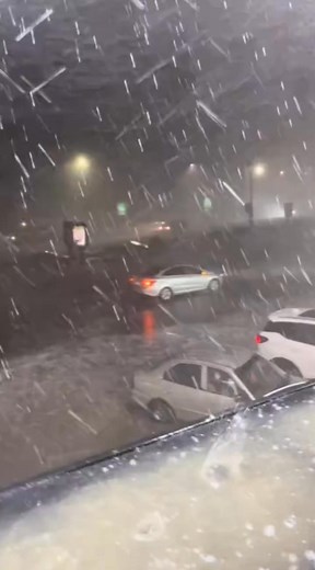 الإسكندرية الان | Mind shadows