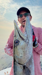 من اسماك البحر الأحمر great barracuda العقام العملاق | Abdullah Ahmed Ali