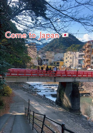 静かな日本の美しさ 🇯🇵 The quiet beauty of Japan☺️ #japan #japanvibes #日本の景色 #japantravel #fyp