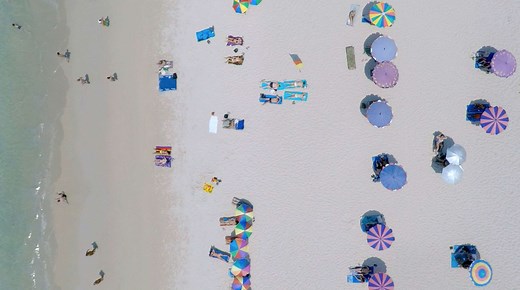 Our Free Video Clip of the Week Is Back