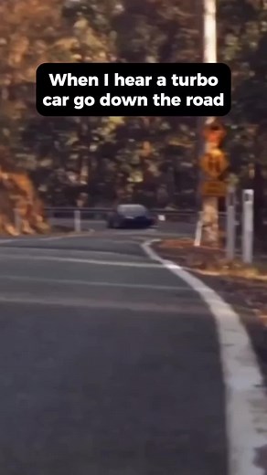 Turbo Car Sounds and Wildlife Encounter