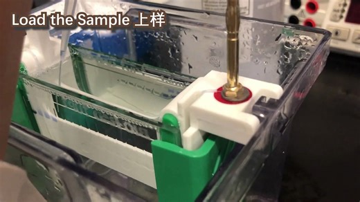 vlog16 日常实验/western blot的各个步骤英文怎么说？