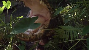 CuriosityStream is the world's first ad-free, nonfiction streaming service. Our library is available on all devices and in 196 countries worldwide. New documentaries added weekly. Start streaming today! | Curiosity Stream