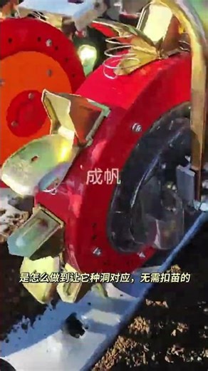 high-yield corn cultivation #highyieldcorncultivation #cornplanter# Ridging and Mulching Machine