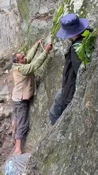 8 Thrilling & Spiritual Pilgrimages in India - Do You Dare? ✨🏔️ #pilgrimagetravel #pilgrimagetour