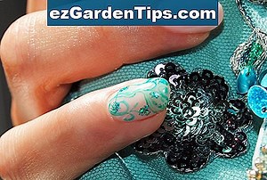 Semi di smeraldo Zoysia 🌱 Consigli Giardinieri - It.ezGardenTips.com